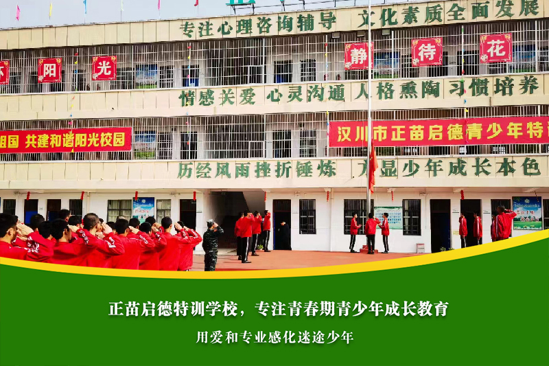 初中生因网恋影响学业，家长该如何理性干预？