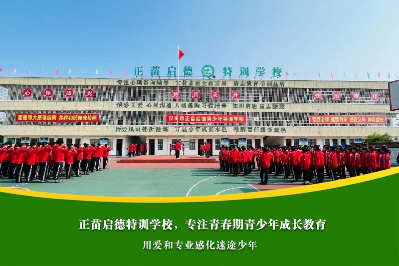 中学男孩厌学，心理辅导能否真正解决逆反问题？
