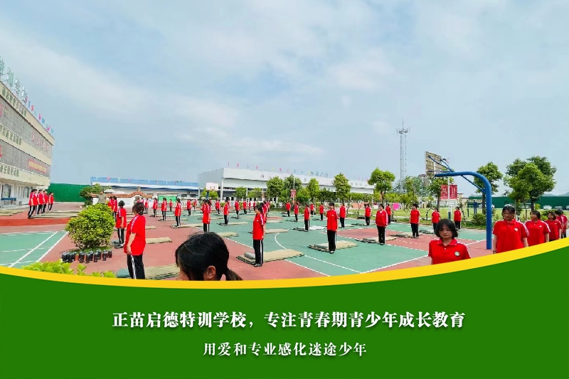青春期孩子网恋被骗，家长如何进行情感教育？