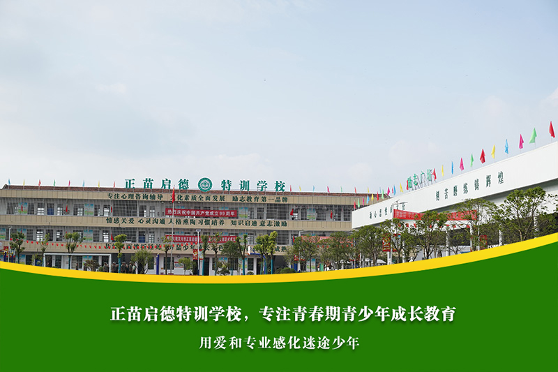 高中女孩沉迷网络小说无法自拔，家长有哪些方法能转移其注意力到学习上？​