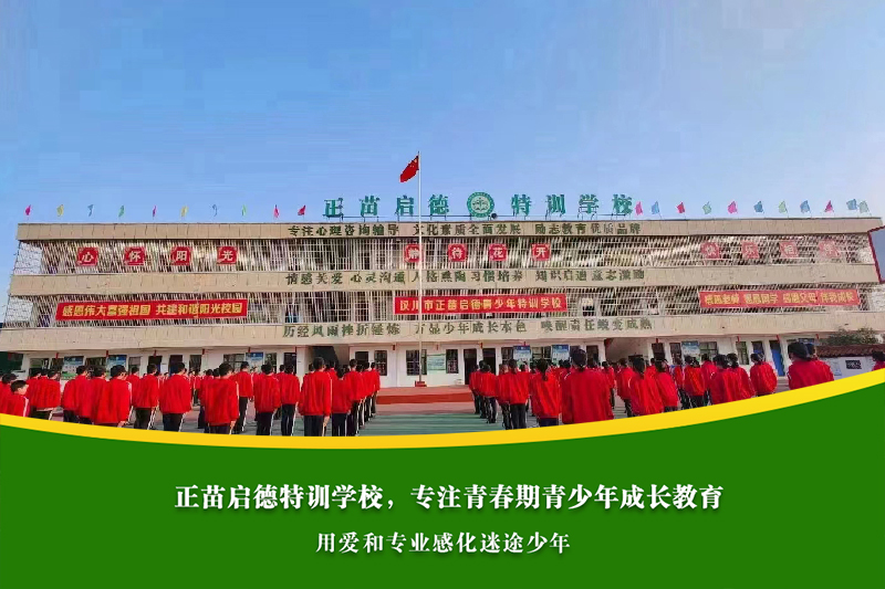 高中男孩有小偷小摸行为后，家长该如何制定改正计划？