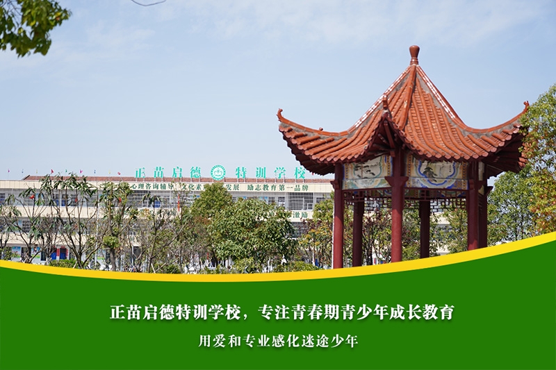 初中生沉迷短视频，如何引导孩子培养自我管理能力？