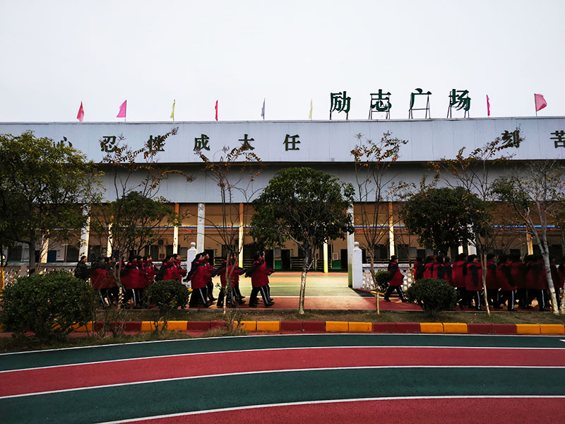 初中生沉迷短视频学习效率下降，学校应如何干预？