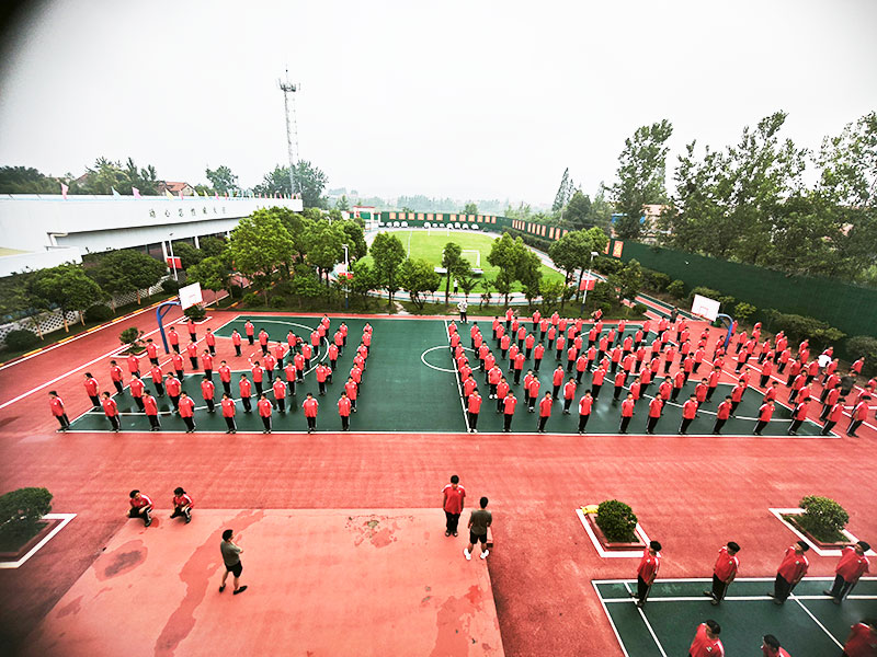 初中男孩沉迷手机导致生活失序，家庭应如何有效干预？