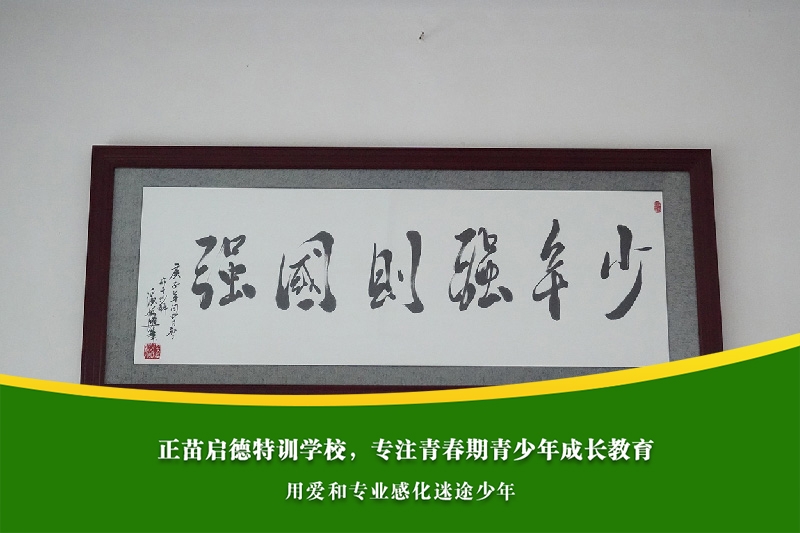 高中女孩逃学是否与社交焦虑有关？