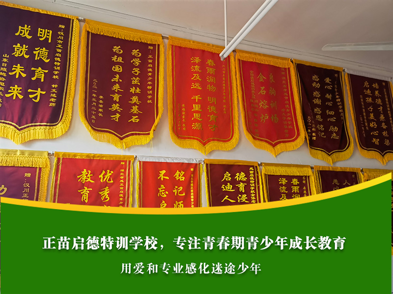 青春期女孩早恋心理困扰，父母如何科学疏导而非惩罚？